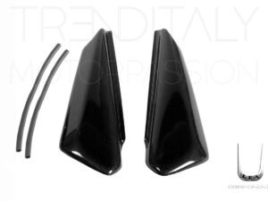 Coppia fianchetti laterali senza monobraccio carbonio Ducati Monster prima serie