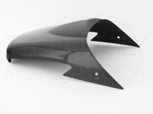 Codino coprisella monoposto carbonio Triumph Speed Triple 1050 2005-2007